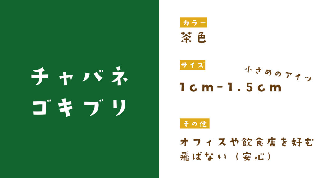 チャバネゴキブリの特徴