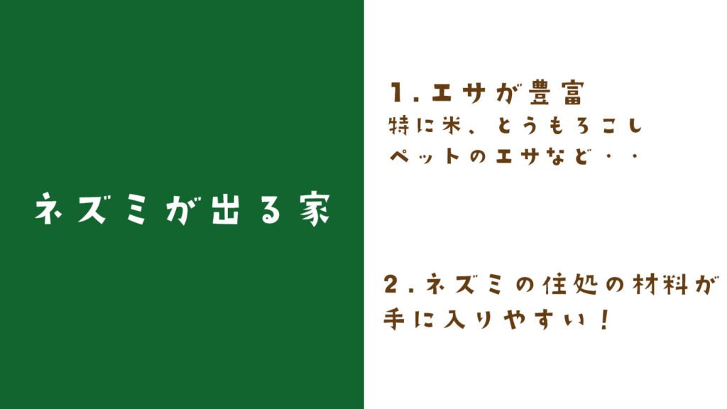 ネズミが出る家の特徴