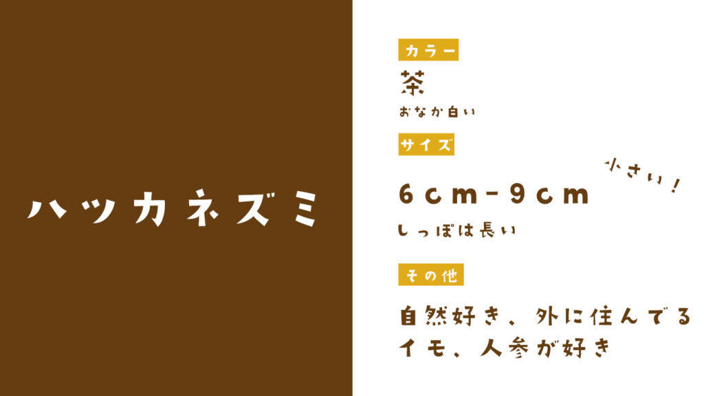 ハツカネズミの特徴