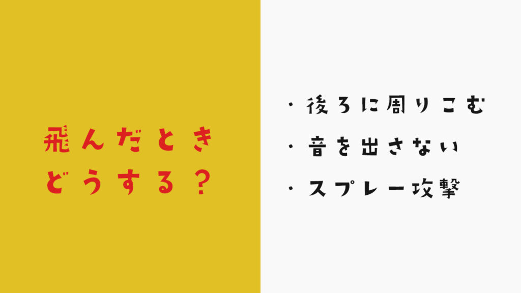 ゴキブリが飛んだ時の対処法
