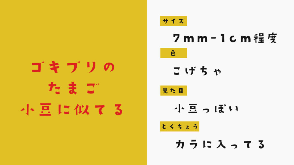 ゴキブリの卵の特徴