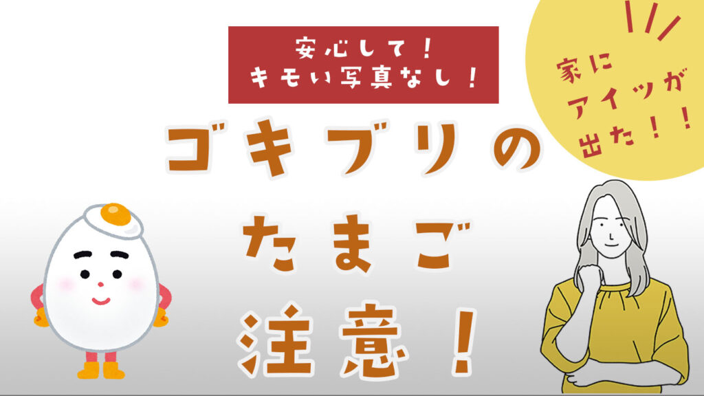 ゴキブリの卵を見つけたら注意