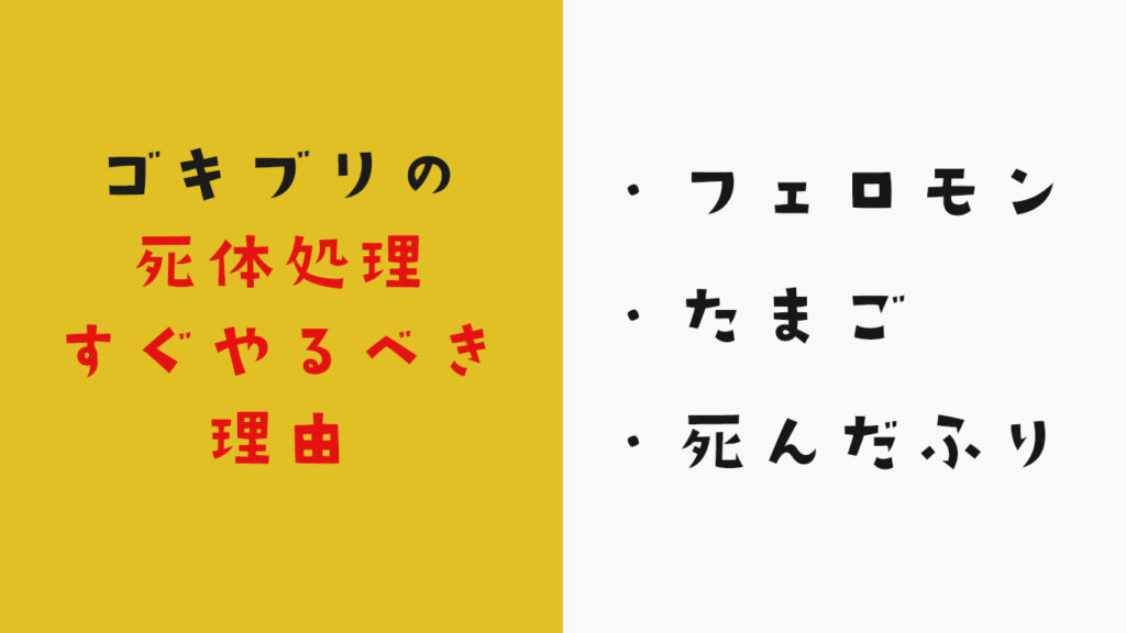 ゴキブリの死骸をすぐ処理するべき理由