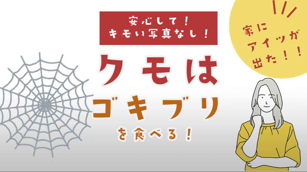 蜘蛛がゴキブリを駆除