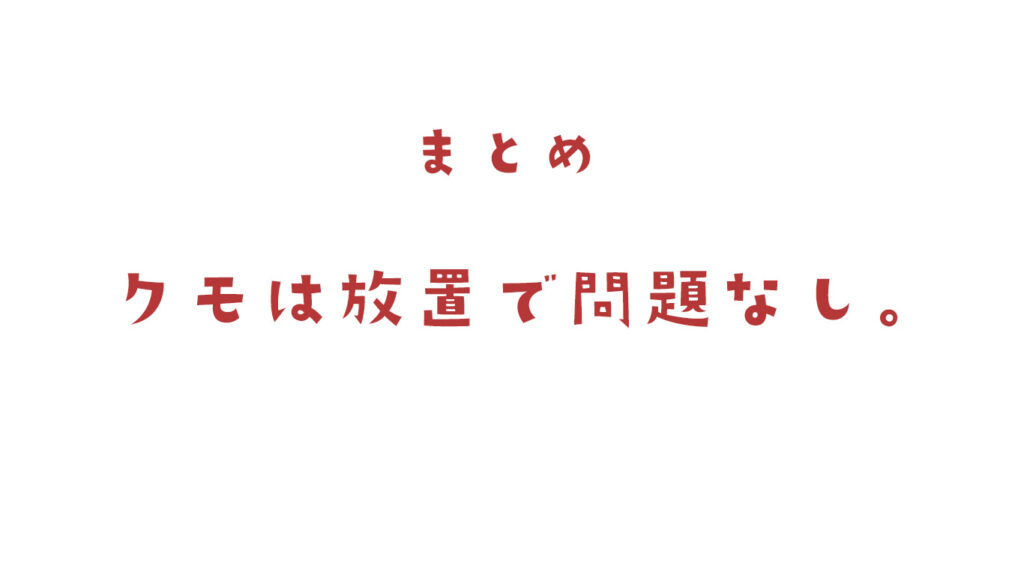 蜘蛛はゴキブリの天敵まとめ