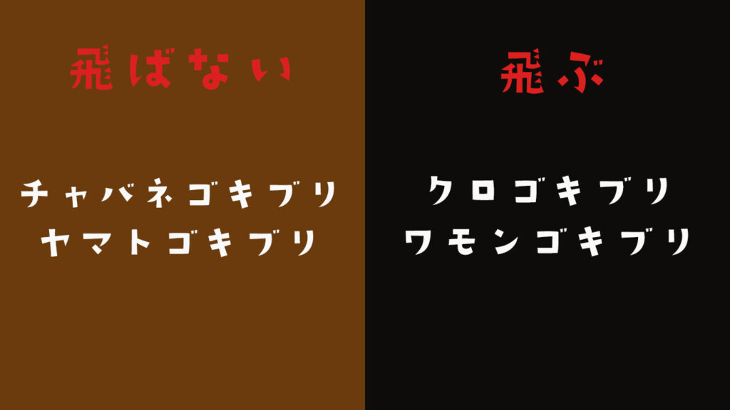 飛ぶゴキブリと飛ばないゴキブリ