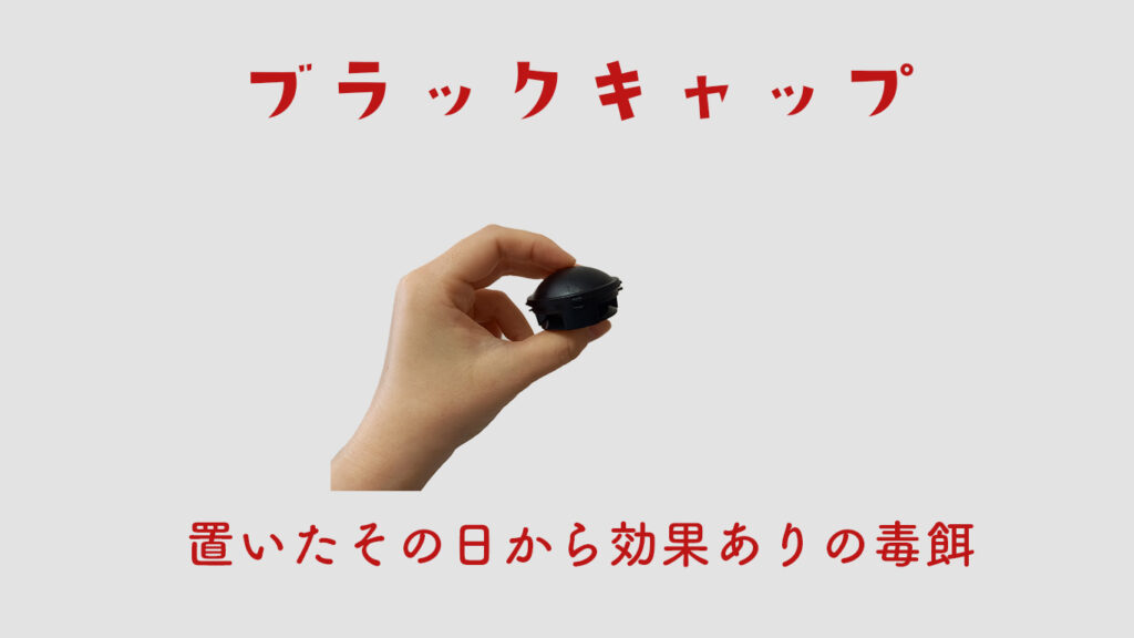 置いた日からゴキブリに効果ありのブラックキャップ