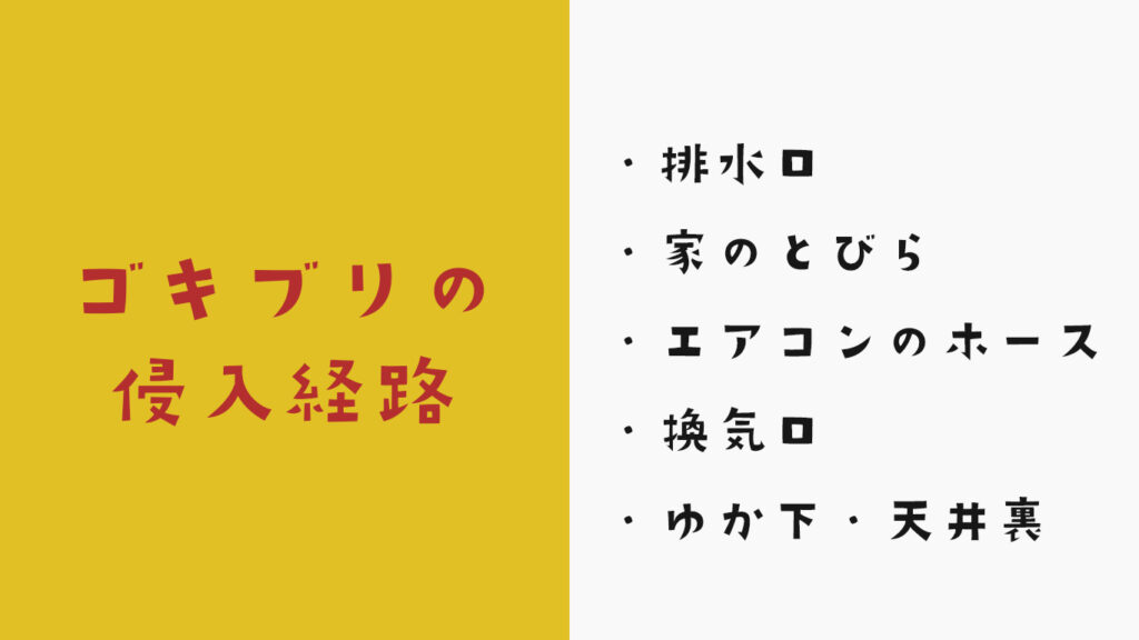 ゴキブリの侵入経路はこれ