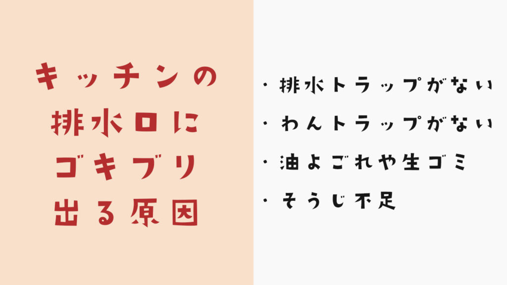 キッチンの排水溝にゴキブリが出る原因