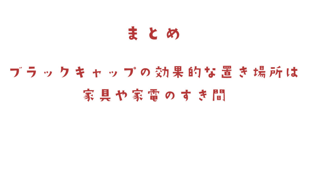 ブラックキャップの効果的な置き場所は家具や家電のすき間