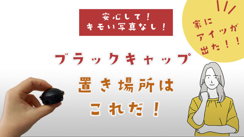 ブラックキャップの置き場所