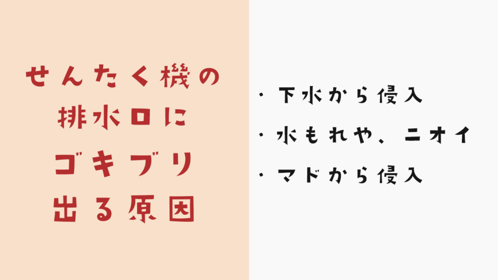 洗濯機の排水溝からゴキブリが侵入する原因