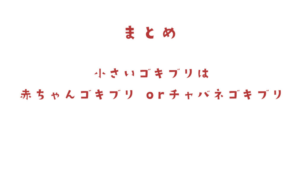 小さいゴキブリは赤ちゃんゴキブリかチャバネ
